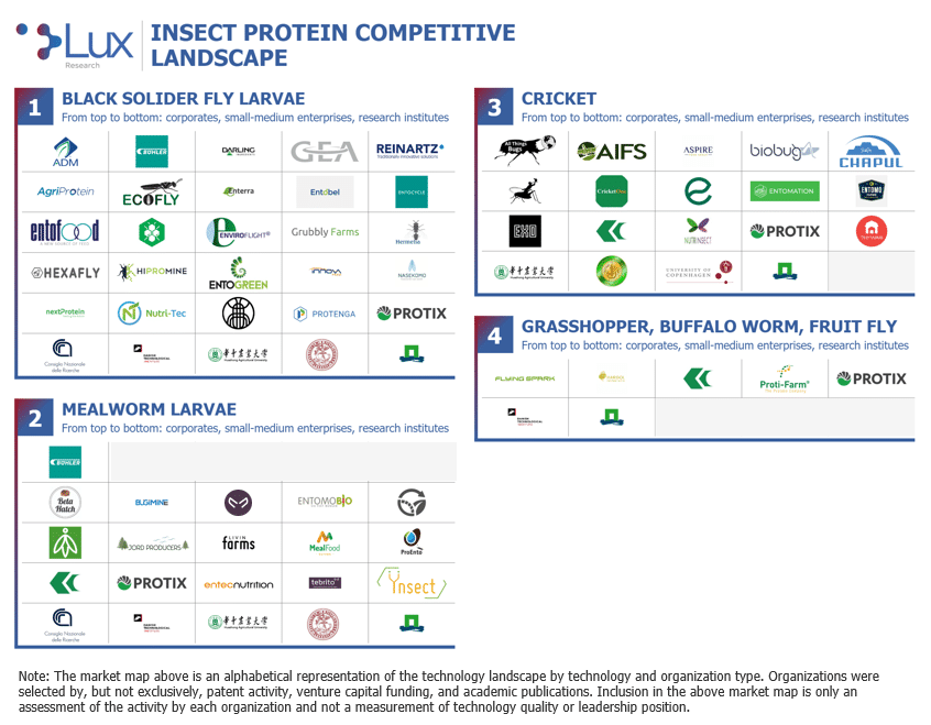 Insect Protein Competitive Landspace