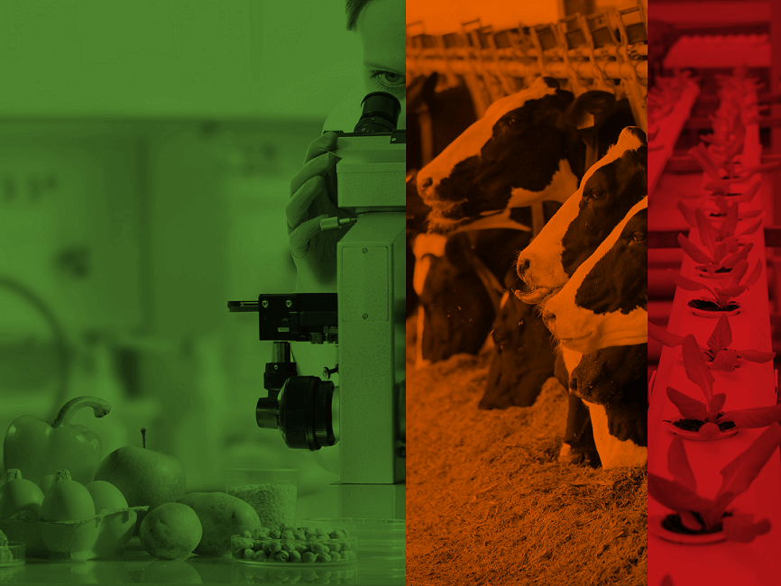Agrifood webinar