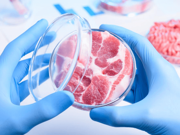 Cell-Based Meats