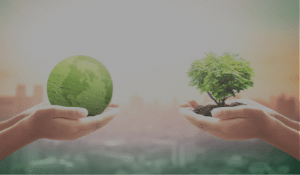 A pair of hands holds a small green globe next to another pair of hands holding a small tree