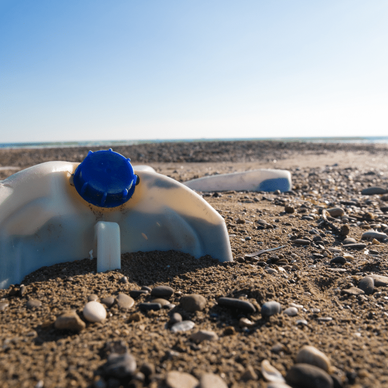 marine waste: plastic waste on the beach